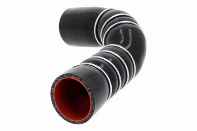 FURTUN EAR SUPRAALIMENTARE ACKOJA A389603 4