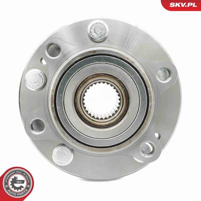 SET RULMENT ROATA ESEN SKV 29SKV565 4