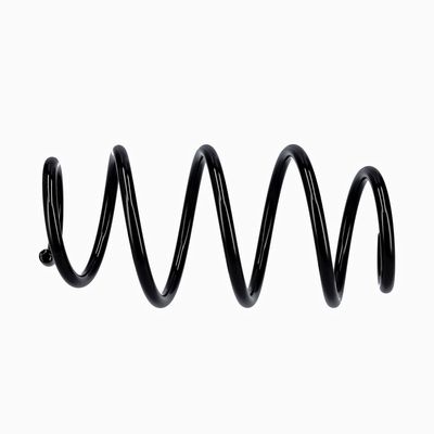 ARC SPIRAL EIBACH R10302 19