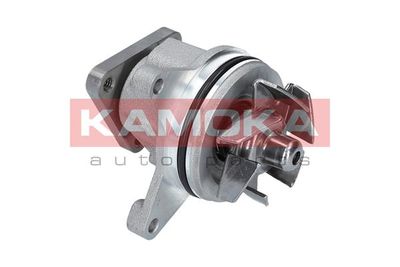 Water Pump, engine cooling T0136
