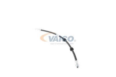 FURTUN FRANA VAICO V104226 10