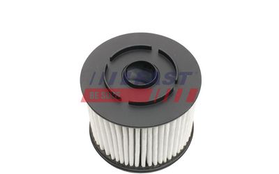 FILTRU COMBUSTIBIL FAST FT39123 3