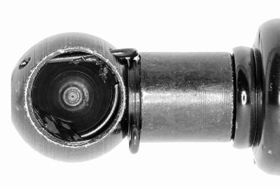 AMORTIZOR PORTBAGAJ ACKOJA A520313 1