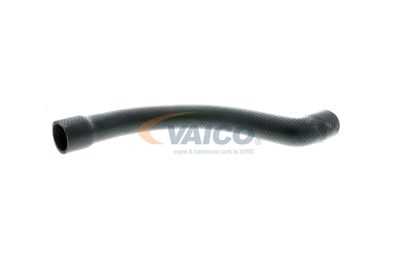 FURTUN RADIATOR VAICO V201252 2