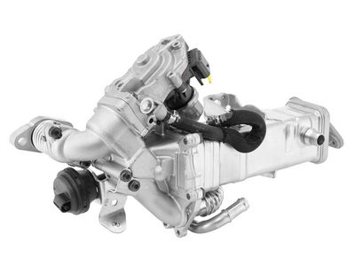 MODUL-EGR BorgWarner 792005D0 1