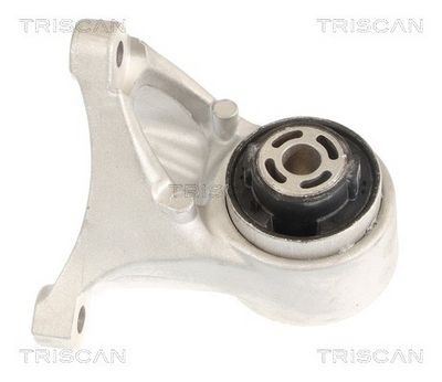 окачване, двигател TRISCAN 8505 81102