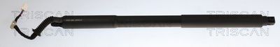 Sprężyna gazowa, pokrywa bagażnika TRISCAN 871024307