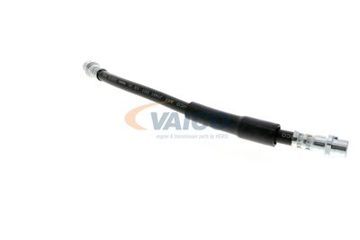 FURTUN FRANA VAICO V104119 40