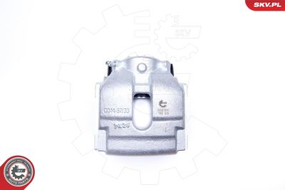 Brake Caliper 34SKV041