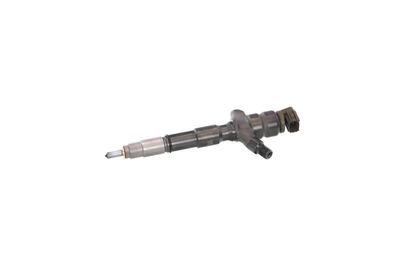 INJECTOR REMANTE 002003002102R 13