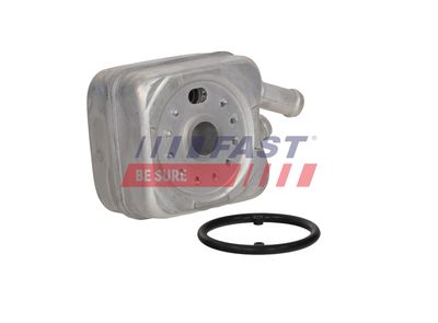 RADIATOR ULEI ULEI MOTOR FAST FT00655 6