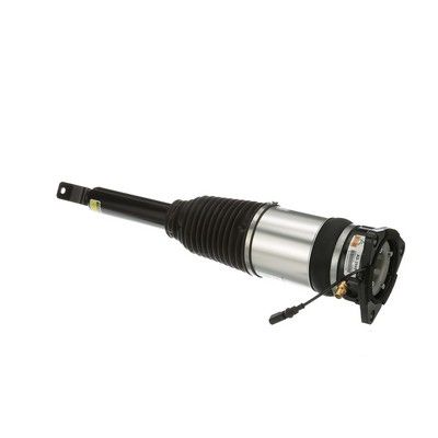 LUFTFEDERBEIN Arnott AS2968 42