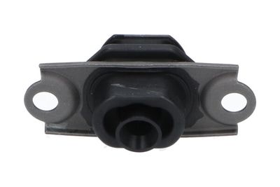 Kavo Parts Variklio montavimas