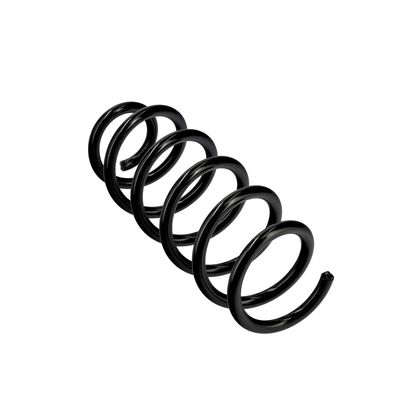 ARC SPIRAL EIBACH R22963 11