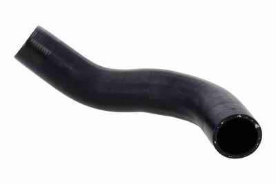 FURTUN EAR SUPRAALIMENTARE ACKOJA A260540 2