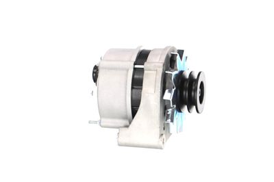 GENERATOR / ALTERNATOR REMANTE 011003000025R 49