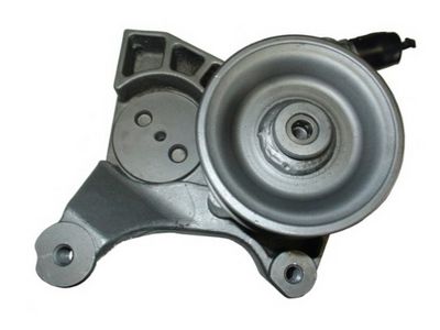 HYDRAULIKPUMPE LENKUNG SPIDAN 54448