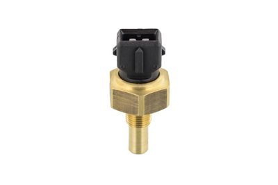 SENZOR TEMPERATURA LICHID DE RACIRE