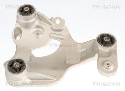 окачване, двигател TRISCAN 8505 81106