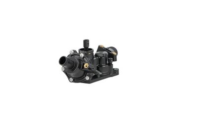 TERMOSTAT LICHID RACIRE NRF 725078 11