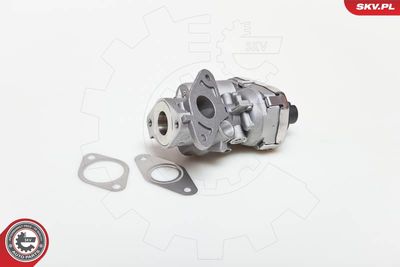 EGR Valve 14SKV038