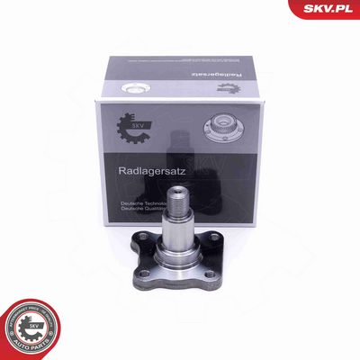 SET RULMENT ROATA ESEN SKV 29SKV457