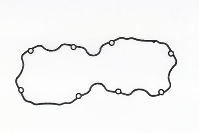 GARNITURA CAPAC SUPAPE