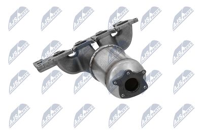CATALIZATOR NTY KATPL002 17