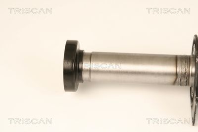 PLANETARA TRISCAN 854029666 1