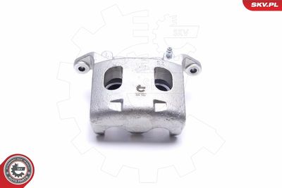 Brake Caliper 55SKV011