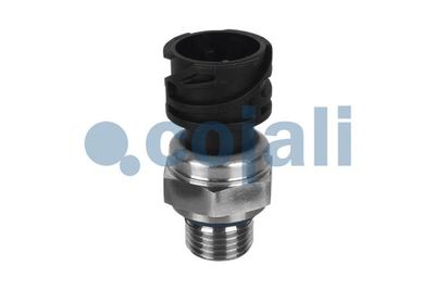Vorschau Sensor, Öldruck Ansicht 3