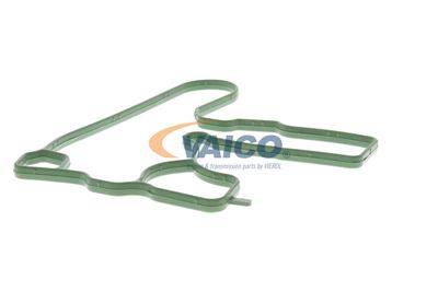 DICHTUNG KURBELGEHäUSEENTLüFTUNG VAICO V103884 51