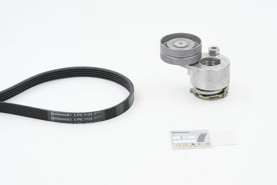 CONTINENTAL CTAM Keilrippenriemensatz