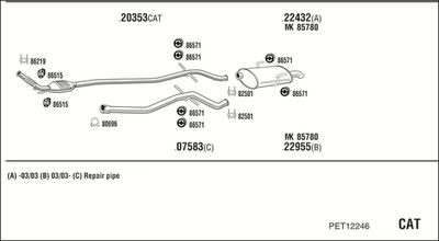 SISTEM DE ESAPAMENT WALKER PET12246