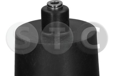 LUFTFEDER FAHRWERK STC T442979 5