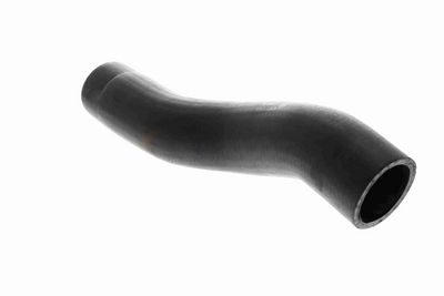FURTUN EAR SUPRAALIMENTARE ACKOJA A529600 2
