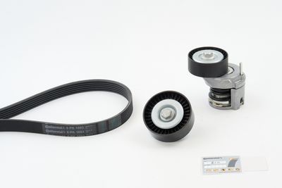 CONTINENTAL CTAM Keilrippenriemensatz