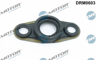 Уплотнительное кольцо, клапанная форсунка Dr.Motor Automotive DRM0603 для MAZDA CX-7