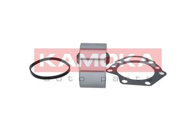 Wheel Bearing Kit 5600040