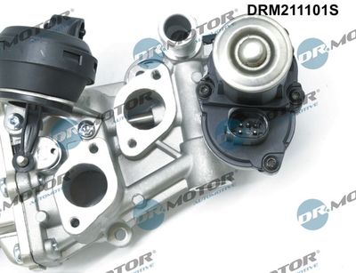 EGR Valve DRM211101S