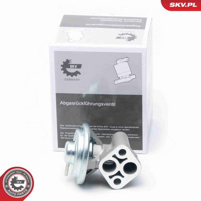 SUPAPA EGR ESEN SKV 14SKV104