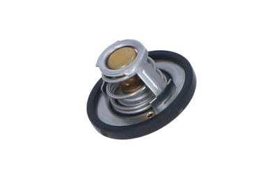 TERMOSTAT LICHID RACIRE NRF 725187 4