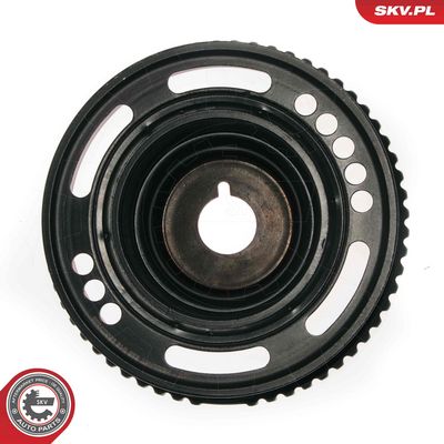 FULIE CUREA ARBORE COTIT ESEN SKV 95SKV320 1