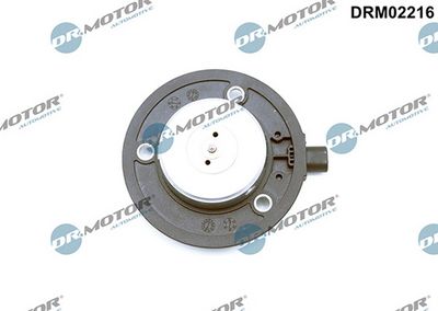 Centrální magnet, seřízení vačkového hřídele LIZARTE DRM02216