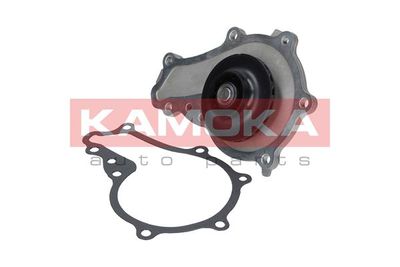 Water Pump, engine cooling T0081