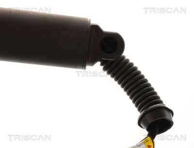 Amortizor portbagaj TRISCAN 8710 11379