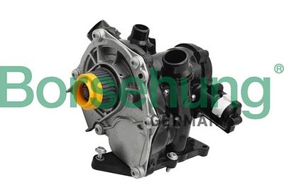 Borsehung Vandens siurblys, variklio aušinimas