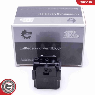 SUPAPA SISTEM SUPRAALIMENTARE ESEN SKV 93SKV813