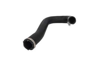 FURTUN EAR SUPRAALIMENTARE