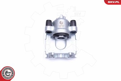 Brake Caliper 42SKV993